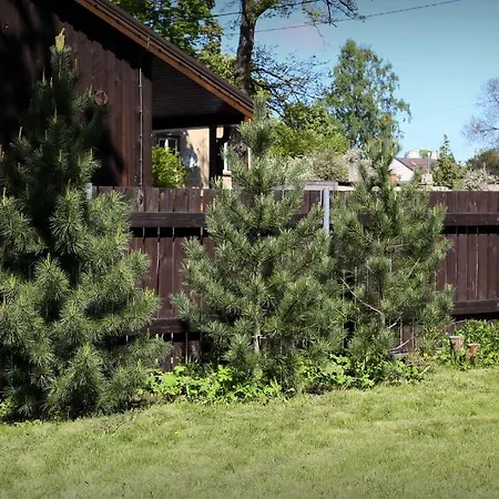 Sampetera Maja 리가